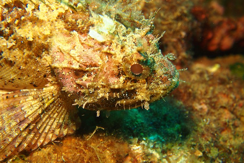 2016-09-30 11-36-08.JPG